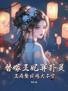 替嫁王妃3939