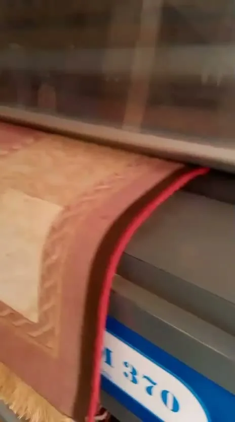 Préparation d’un tapis avant le début du lavage